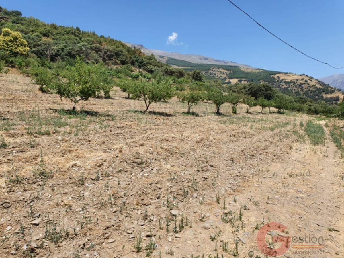 Venta de finca rústica en Busquístar Venta de finca rústica en Busquístar