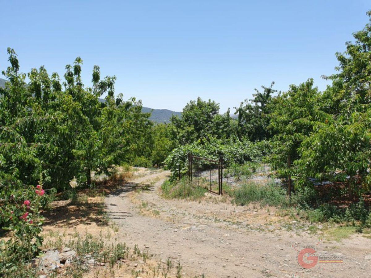 Vente de propriété rurale dans Busquístar