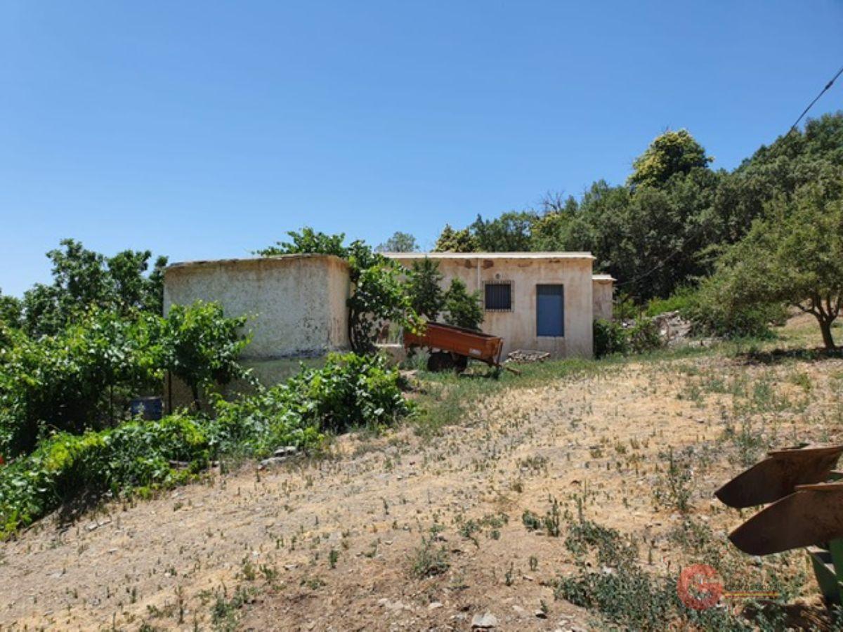 Venta de finca rústica en Busquístar Venta de finca rústica en Busquístar