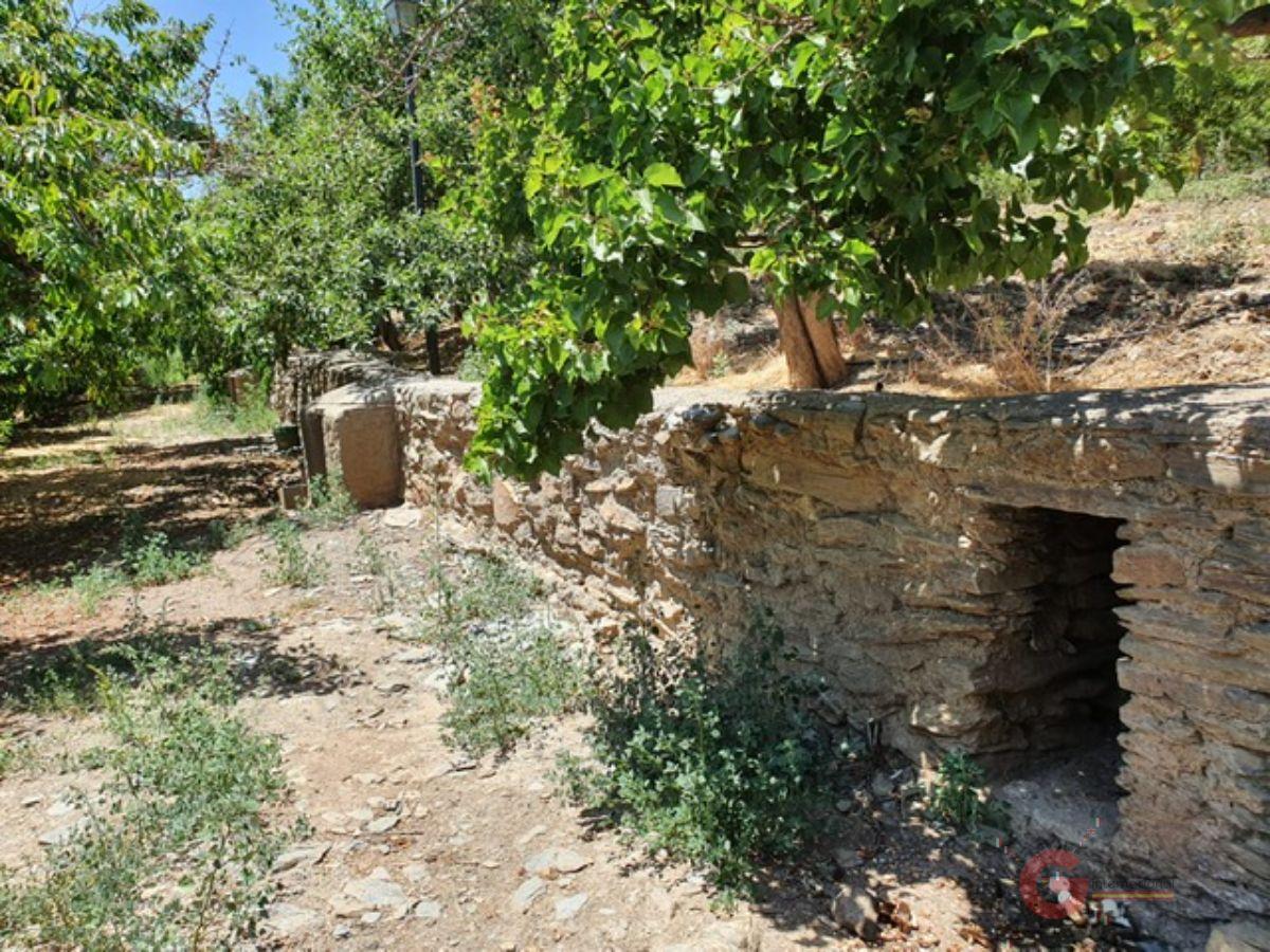 For sale of rural property in Busquístar