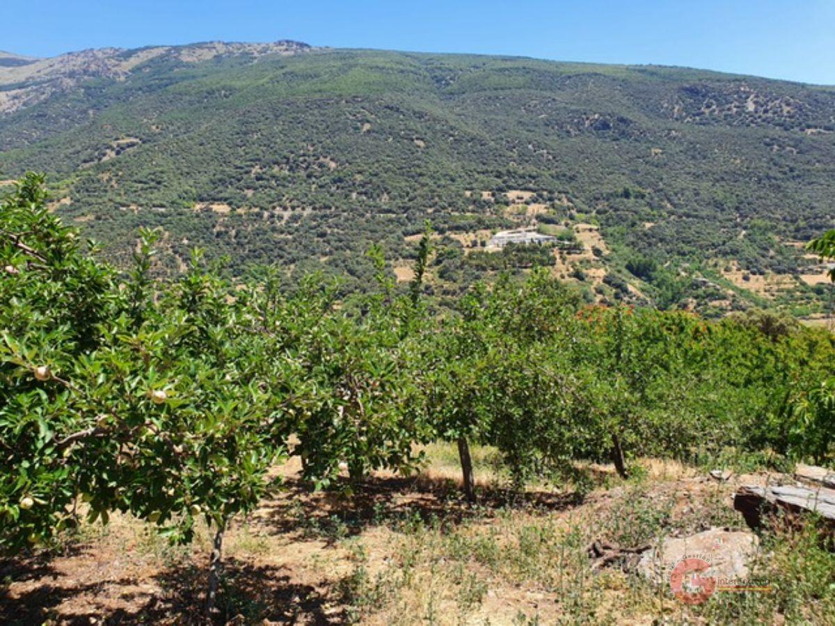 For sale of rural property in Busquístar