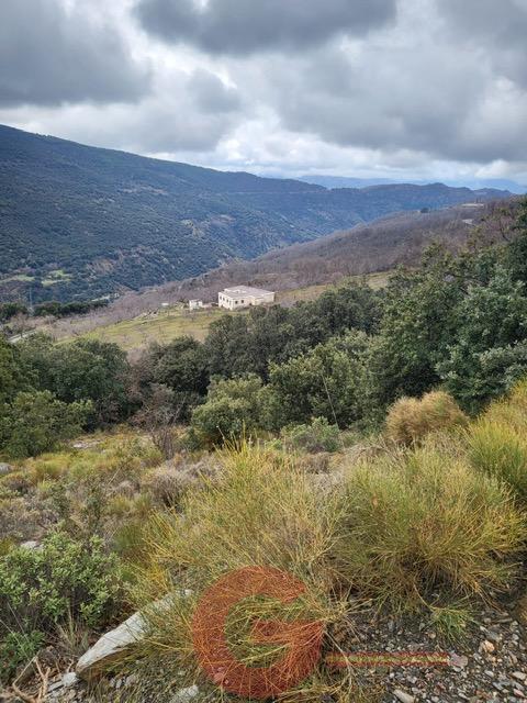 Venta de finca rústica en Busquístar