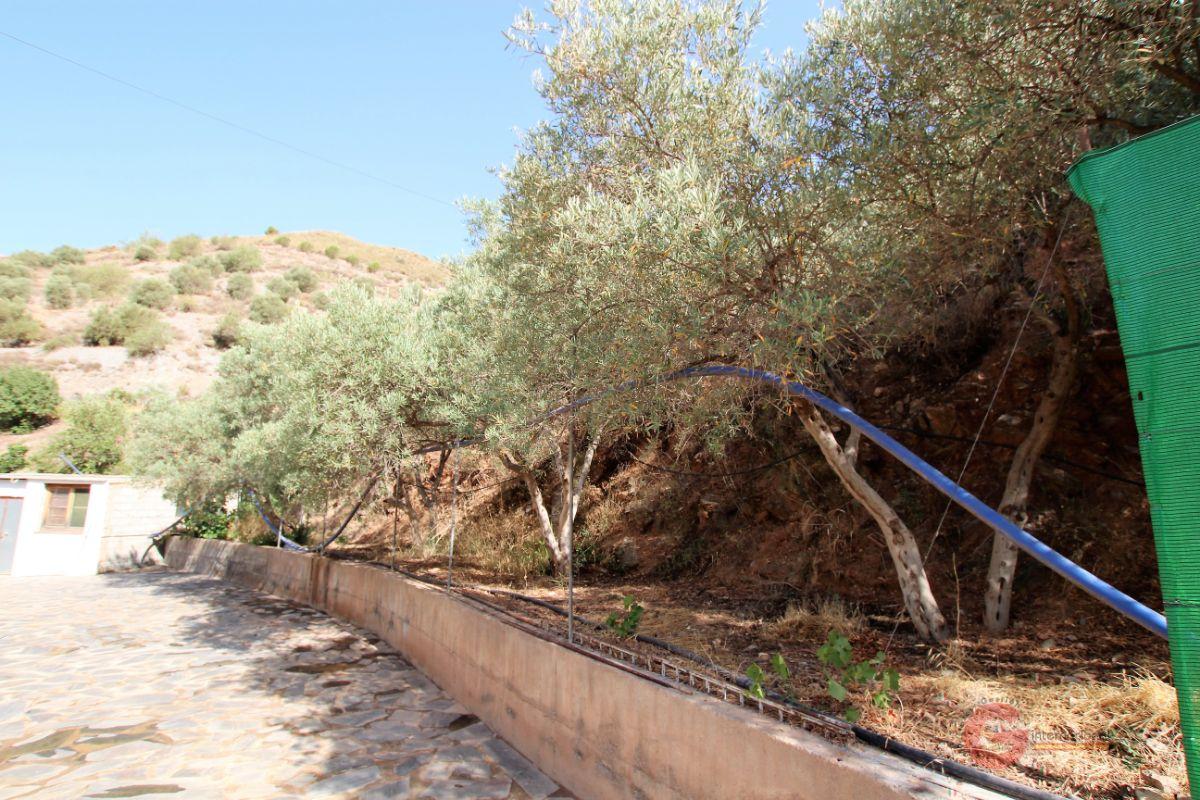 For sale of rural property in Vélez de Benaudalla
