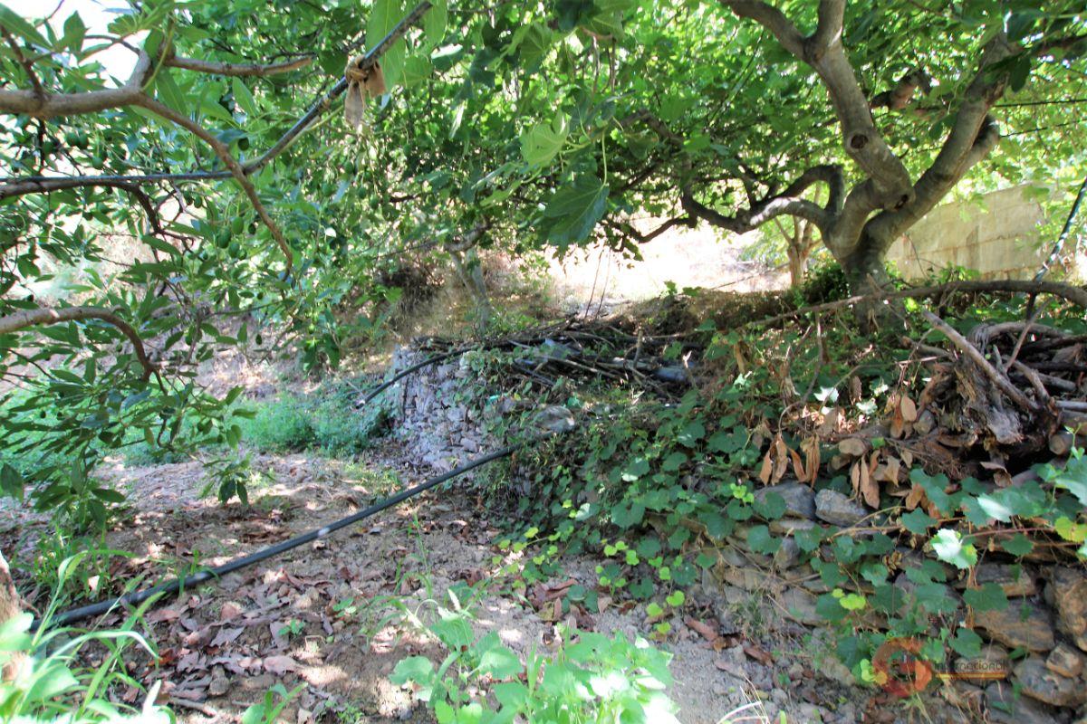 For sale of rural property in Vélez de Benaudalla