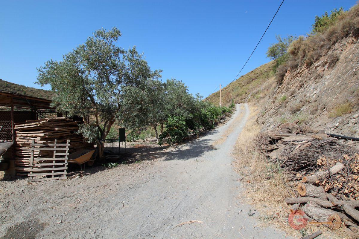 For sale of rural property in Vélez de Benaudalla