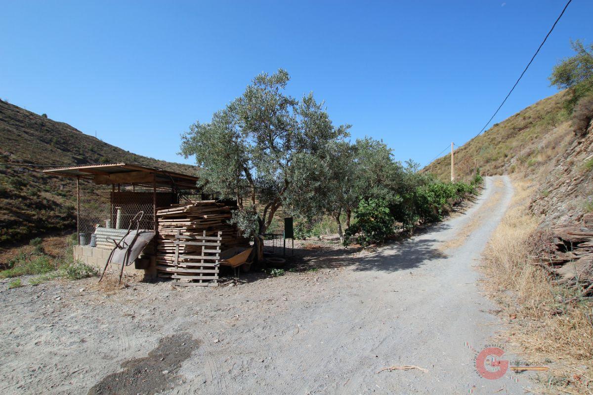 For sale of rural property in Vélez de Benaudalla