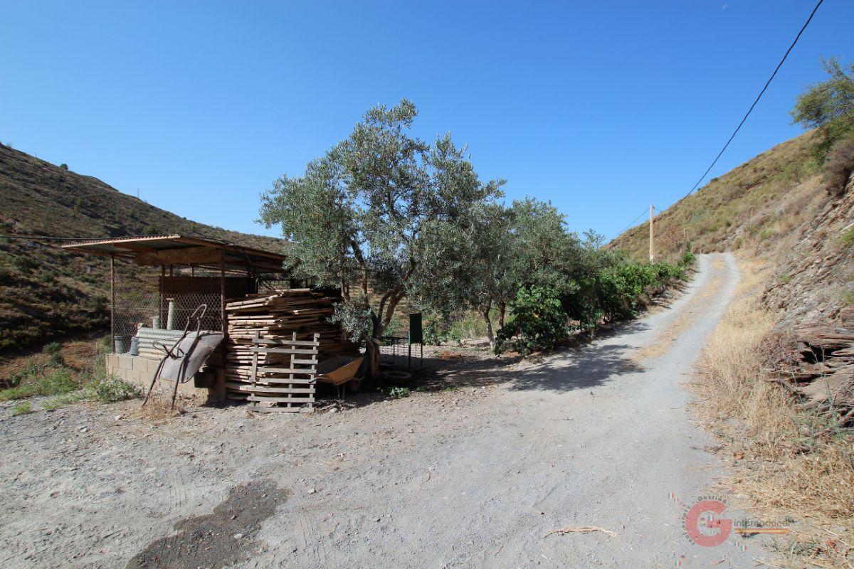 Venta de finca rústica en Vélez de Benaudalla