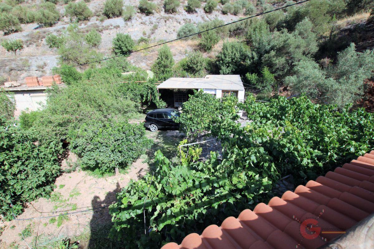 For sale of rural property in Vélez de Benaudalla