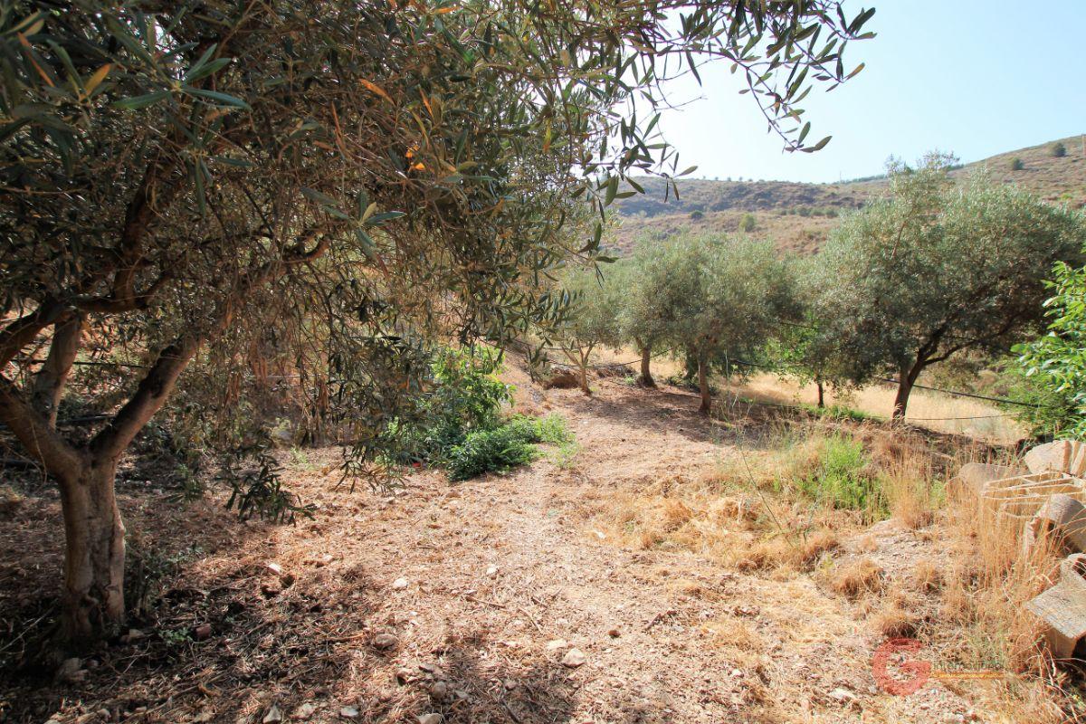 For sale of rural property in Vélez de Benaudalla