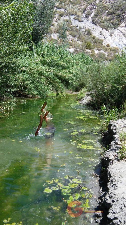 Venta de finca rústica en Torvizcón