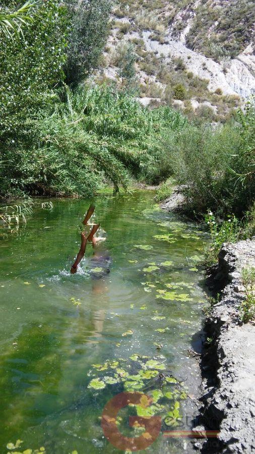 Venta de finca rústica en Órgiva Venta de finca rústica en Órgiva