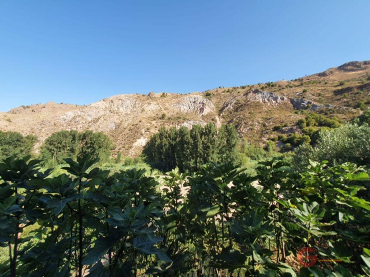 Vente de propriété rurale dans Órgiva