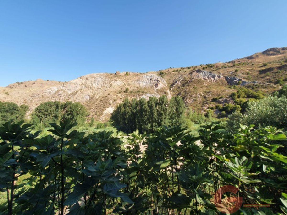 Venta de finca rústica en Órgiva Venta de finca rústica en Órgiva