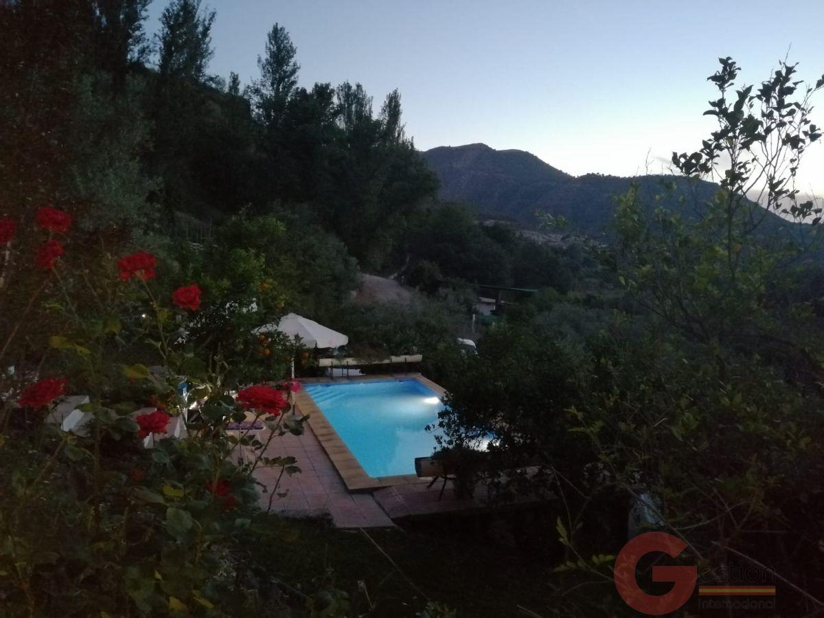 Venta de finca rústica en Órgiva Venta de finca rústica en Órgiva