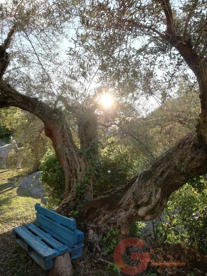 Venta de finca rústica en Órgiva Venta de finca rústica en Órgiva