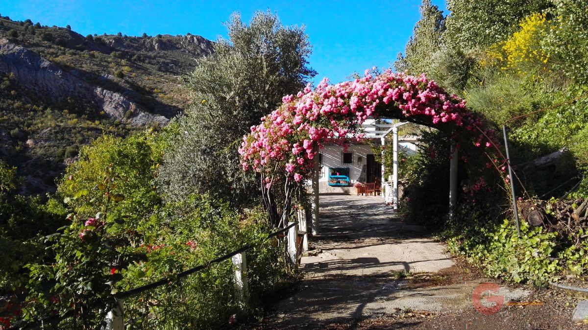 Vente de propriété rurale dans Órgiva