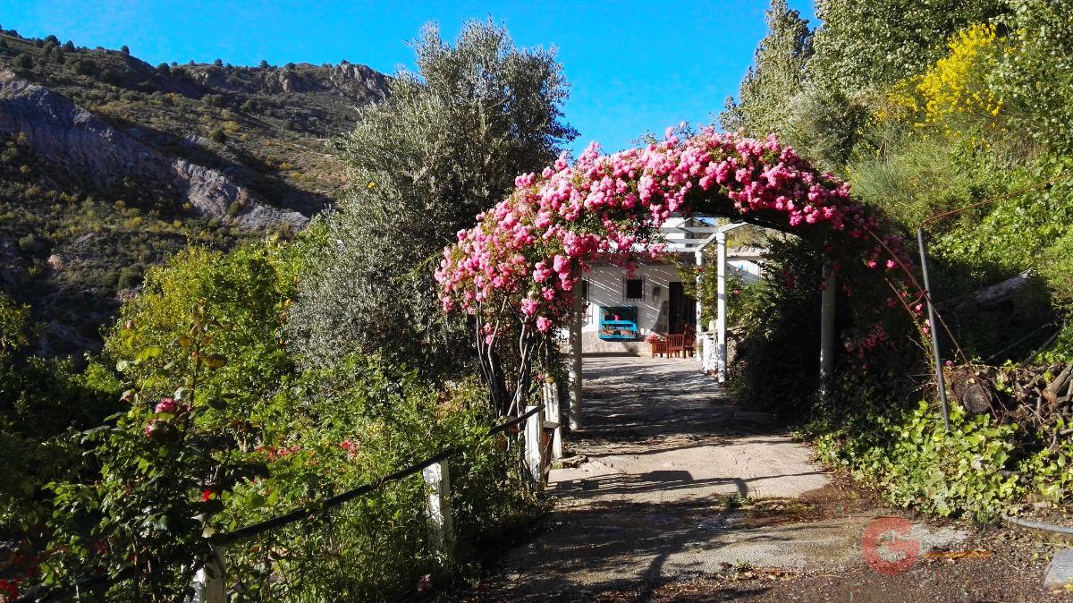 Venta de finca rústica en Torvizcón