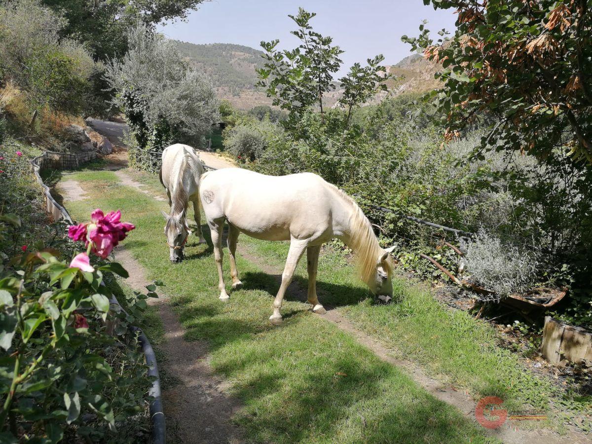 Venta de finca rústica en Torvizcón