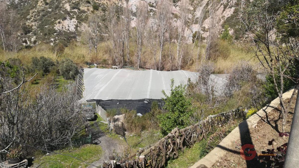 Venta de finca rústica en Torvizcón