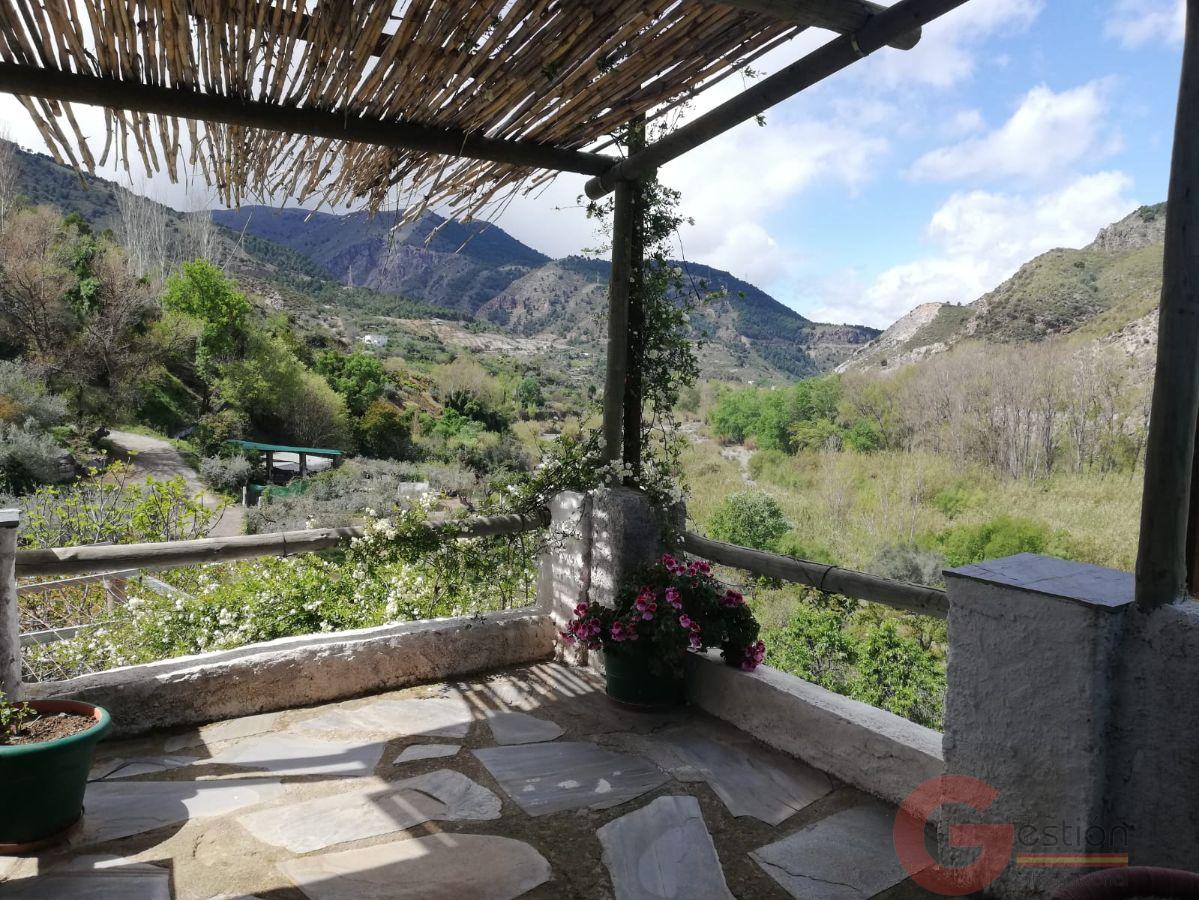 Venta de finca rústica en Órgiva Venta de finca rústica en Órgiva