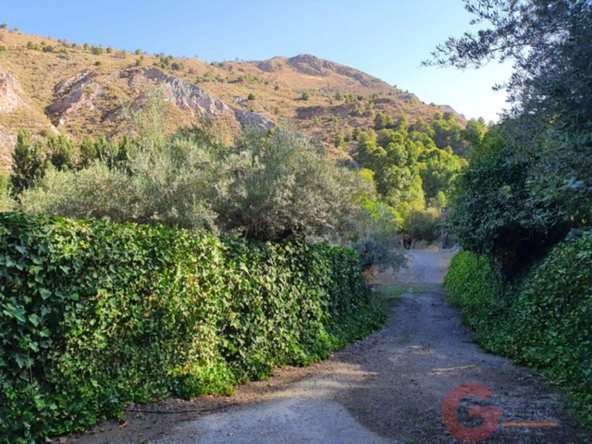 Venta de finca rústica en Órgiva Venta de finca rústica en Órgiva