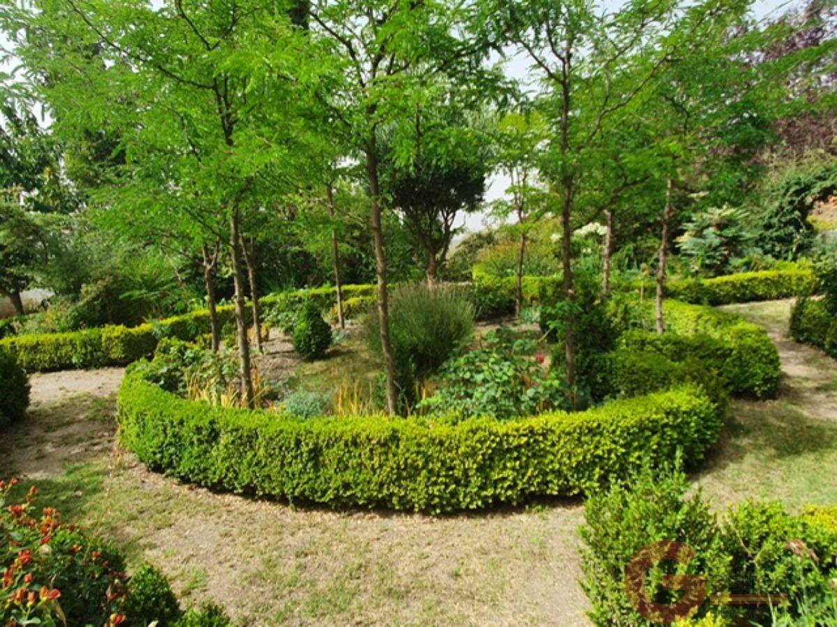 Venta de finca rústica en Pórtugos Venta de finca rústica en Pórtugos