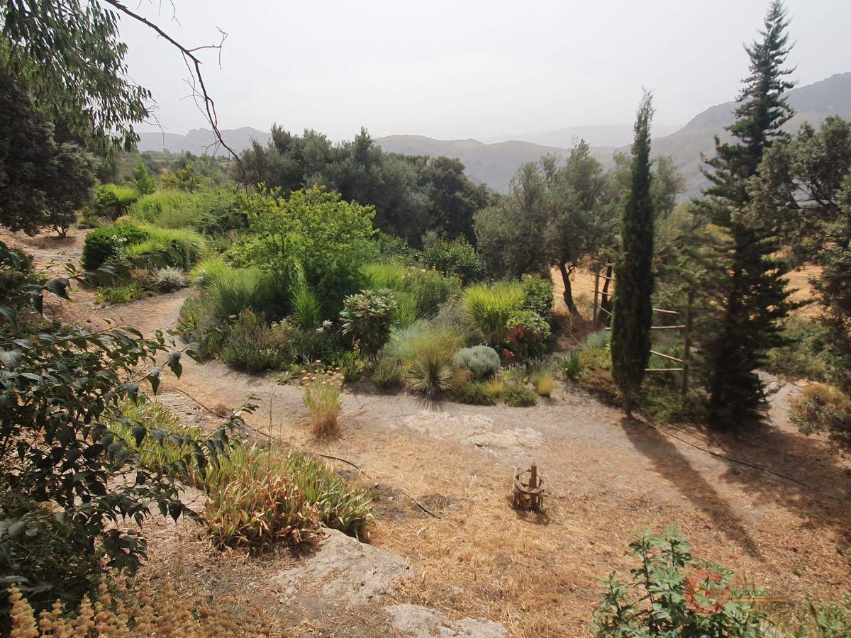 Venta de finca rústica en Pórtugos