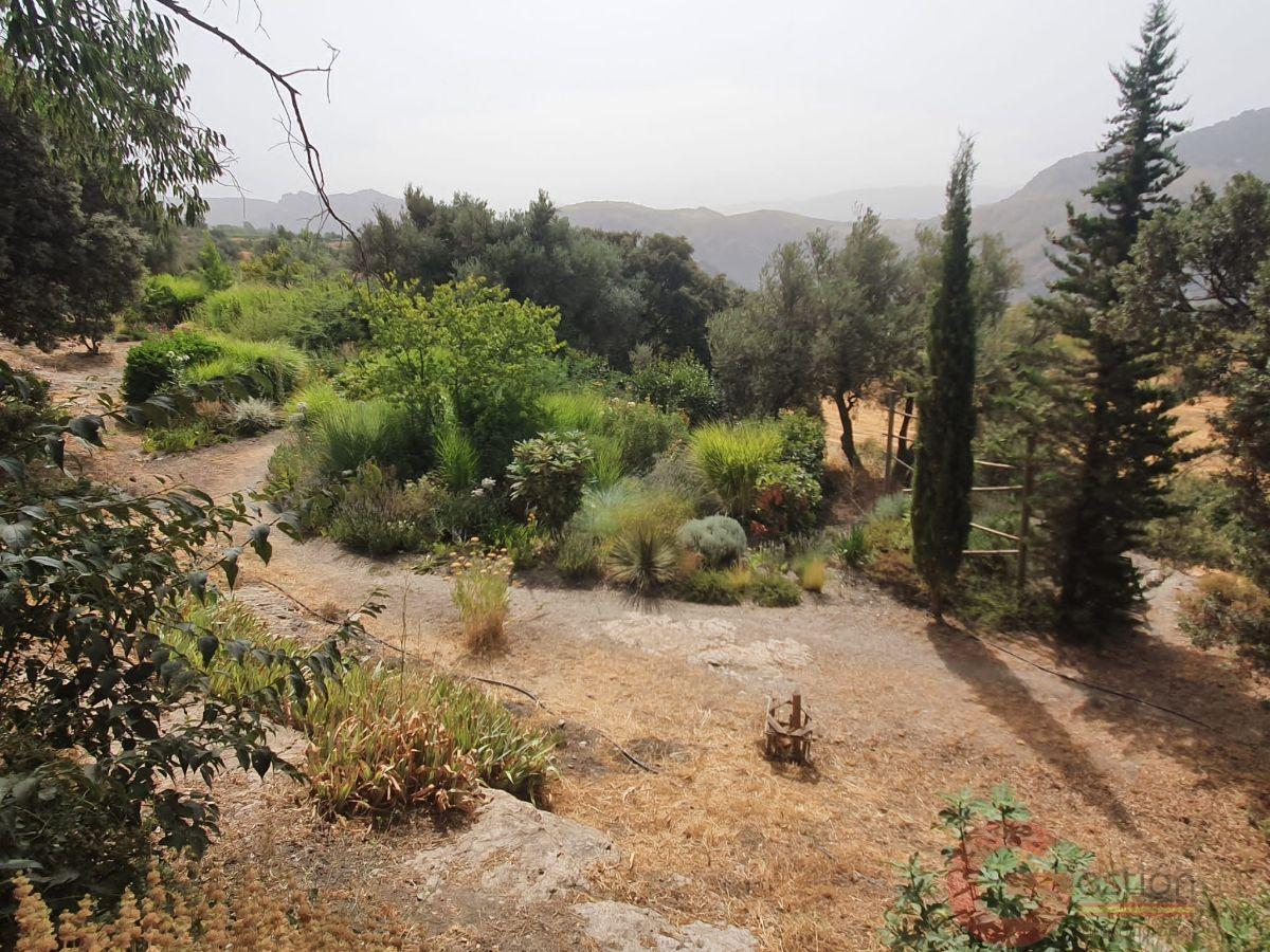 Venta de finca rústica en Pórtugos Venta de finca rústica en Pórtugos