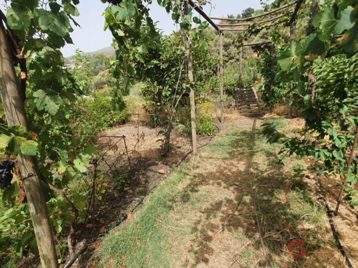 Venta de finca rústica en Pórtugos