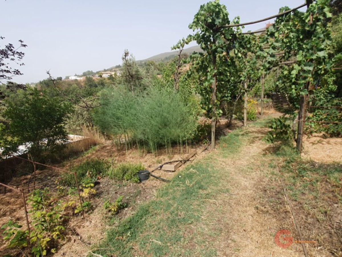 Venta de finca rústica en Pórtugos