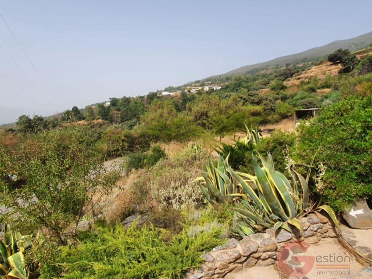 Venta de finca rústica en Pórtugos Venta de finca rústica en Pórtugos