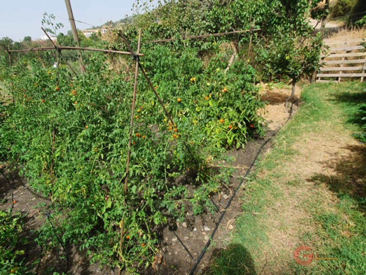 Venta de finca rústica en Pórtugos