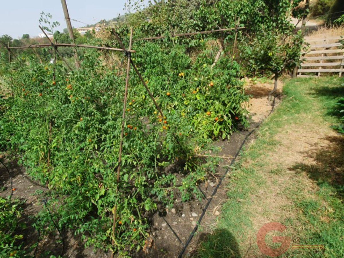 Venta de finca rústica en Pórtugos Venta de finca rústica en Pórtugos