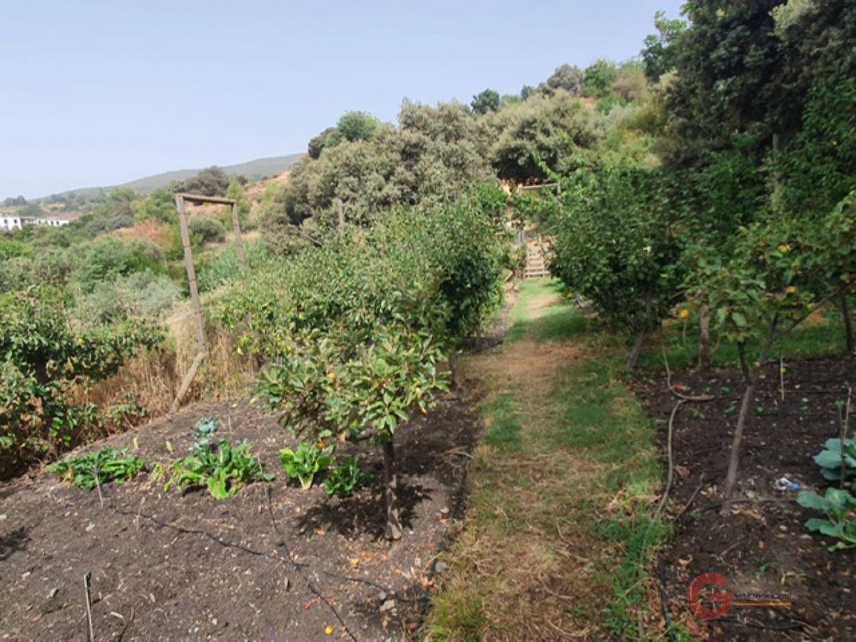 Venta de finca rústica en Pórtugos