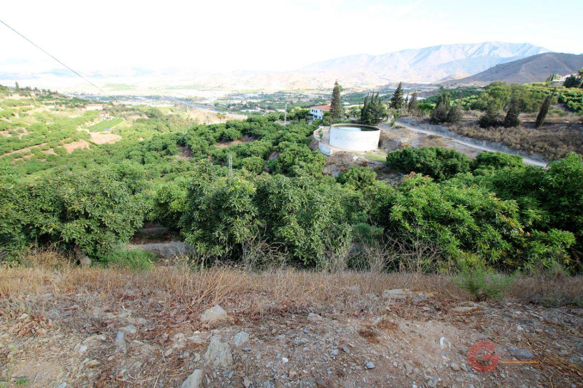 For sale of rural property in Motril