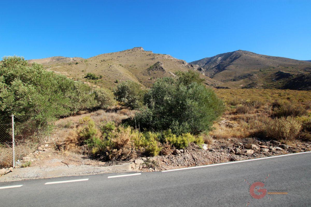 For sale of rural property in Vélez de Benaudalla