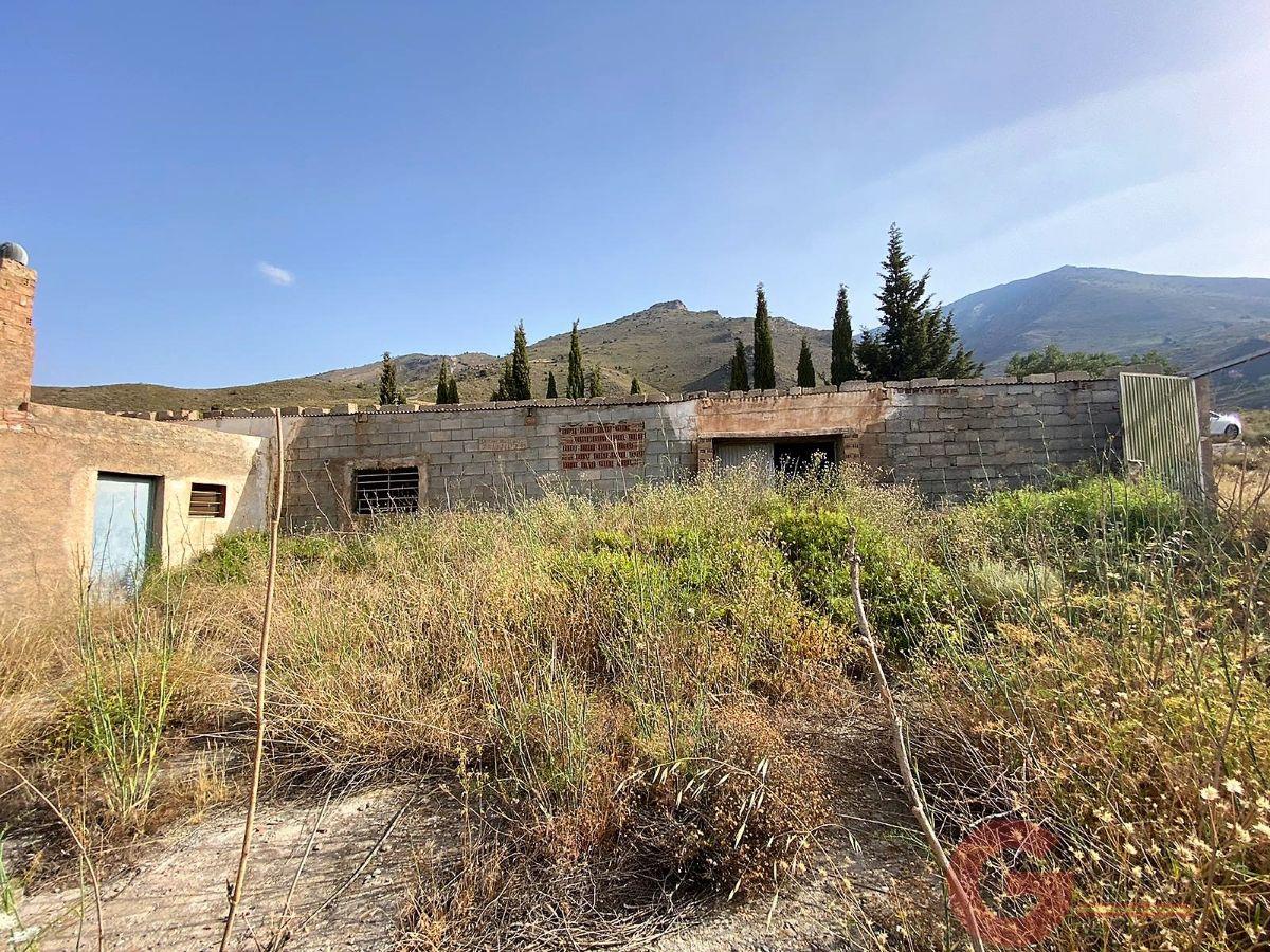 Venta de finca rústica en Vélez de Benaudalla Venta de finca rústica en Vélez de Benaudalla