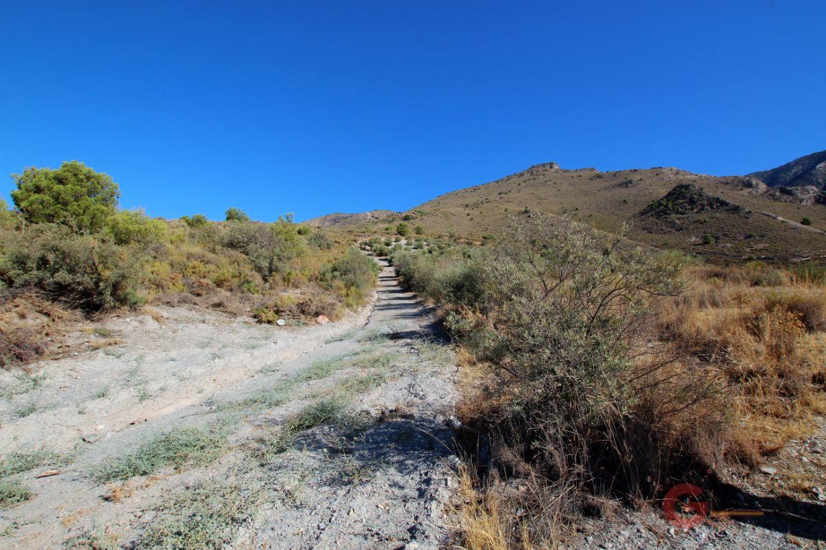 For sale of rural property in Vélez de Benaudalla