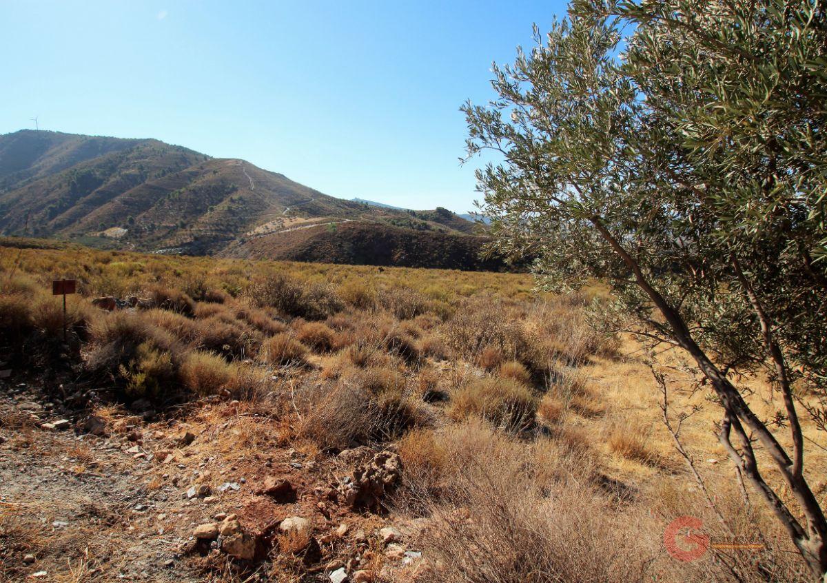 For sale of rural property in Vélez de Benaudalla