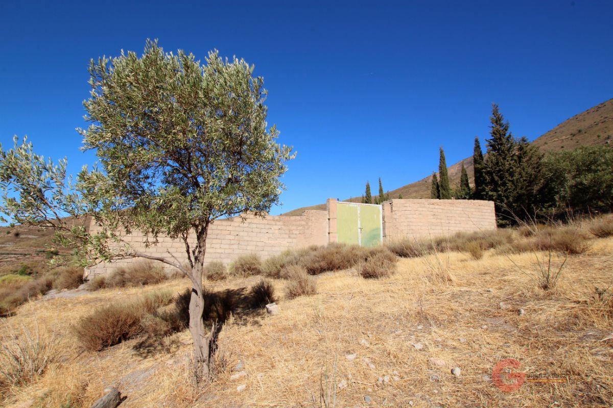 For sale of rural property in Vélez de Benaudalla