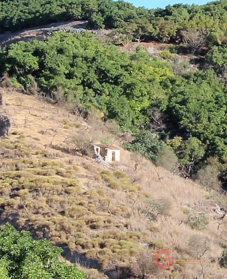 For sale of land in Motril