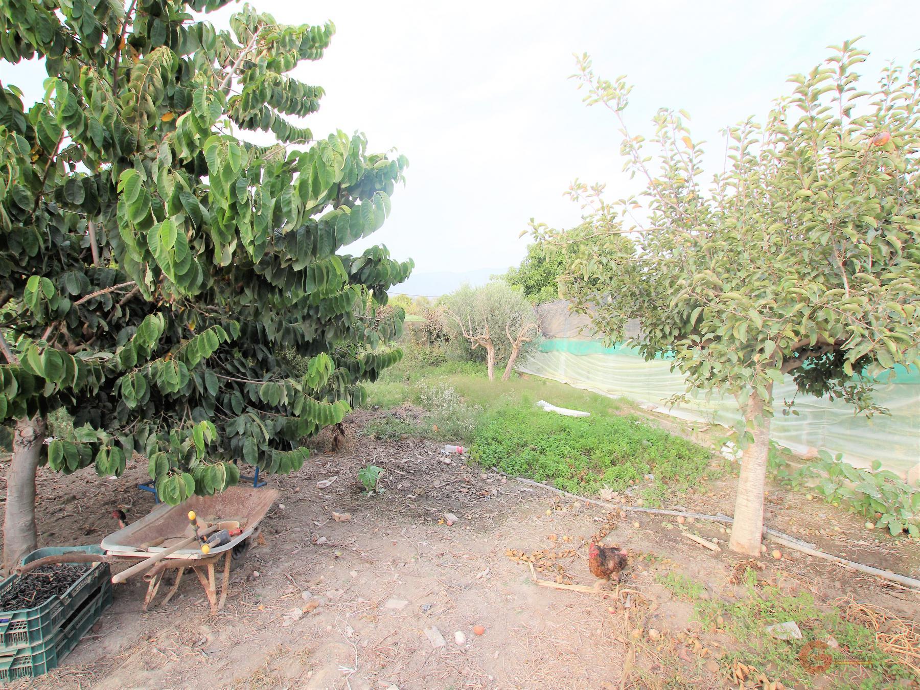 Vendita di terreno in Motril