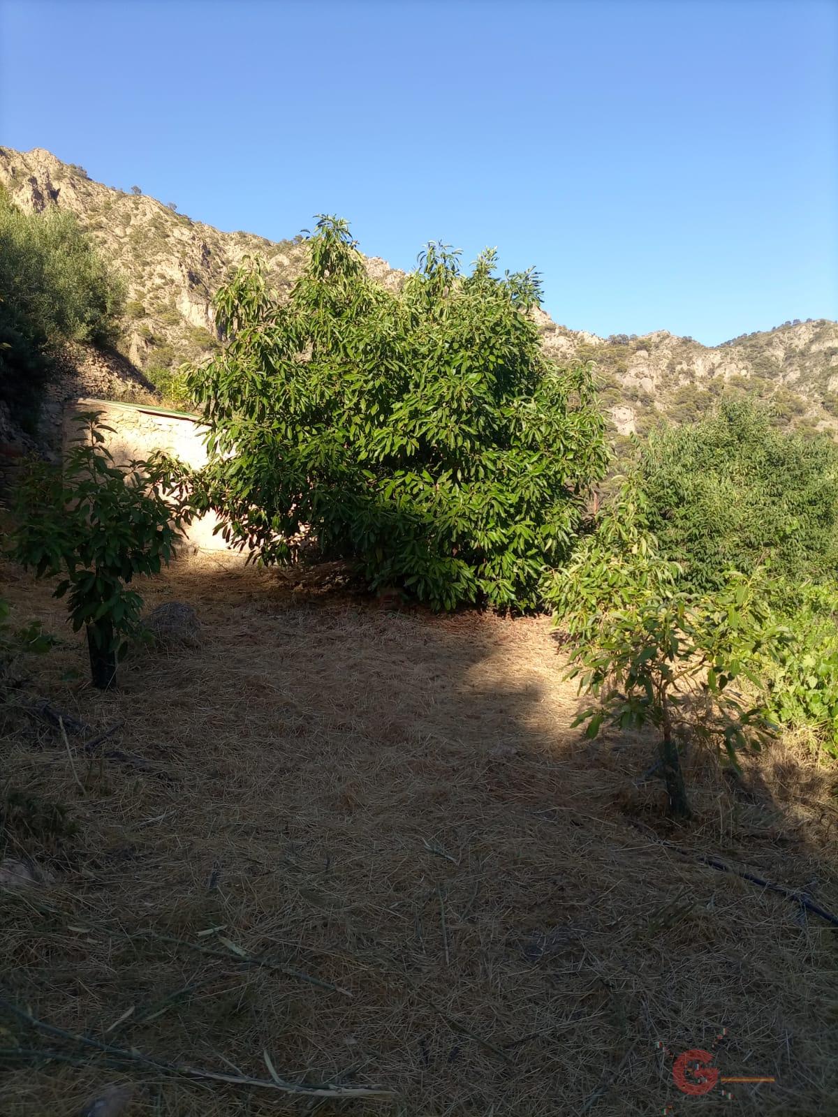 For sale of land in Guájar Alto