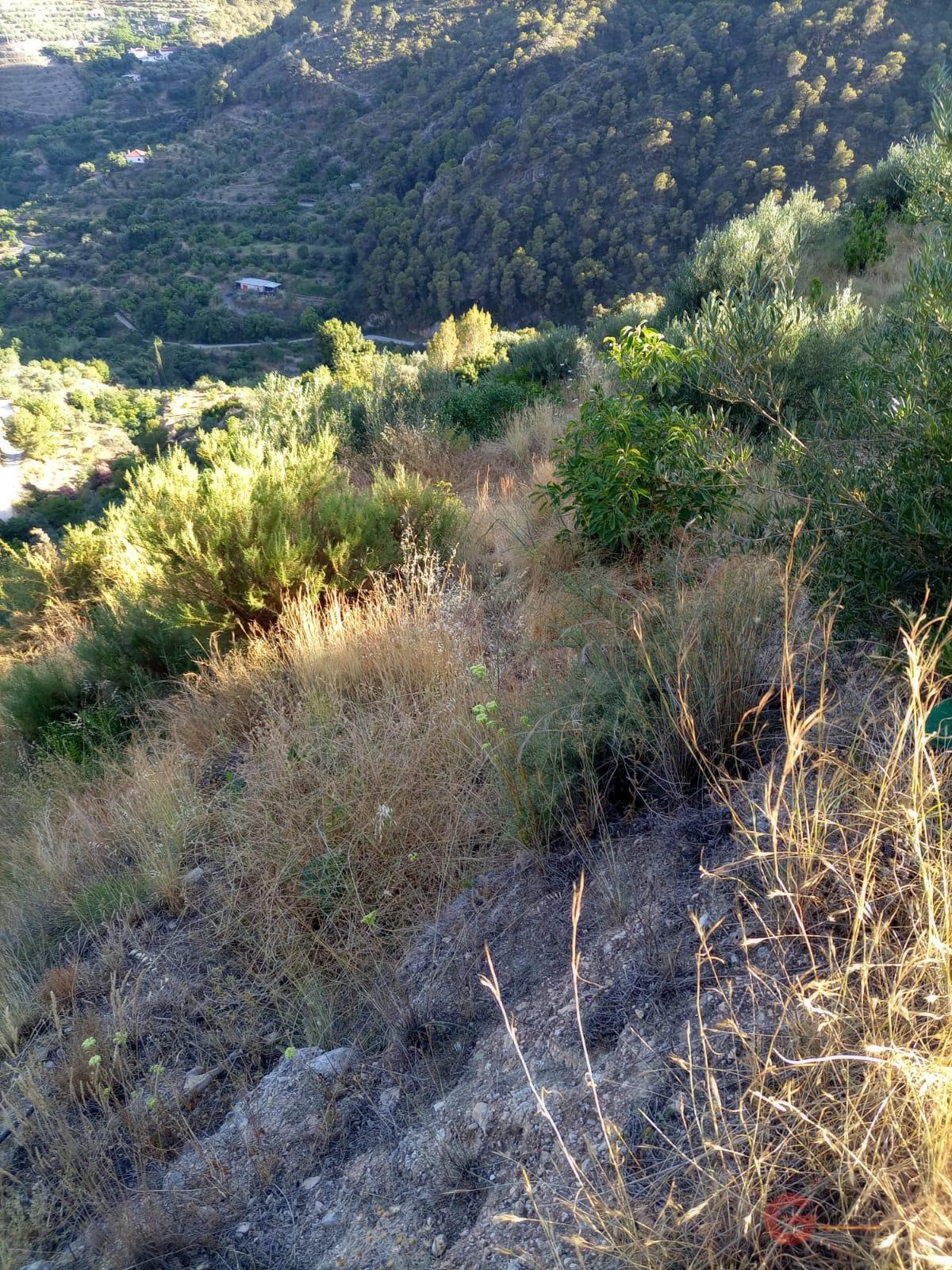 For sale of land in Guájar Alto