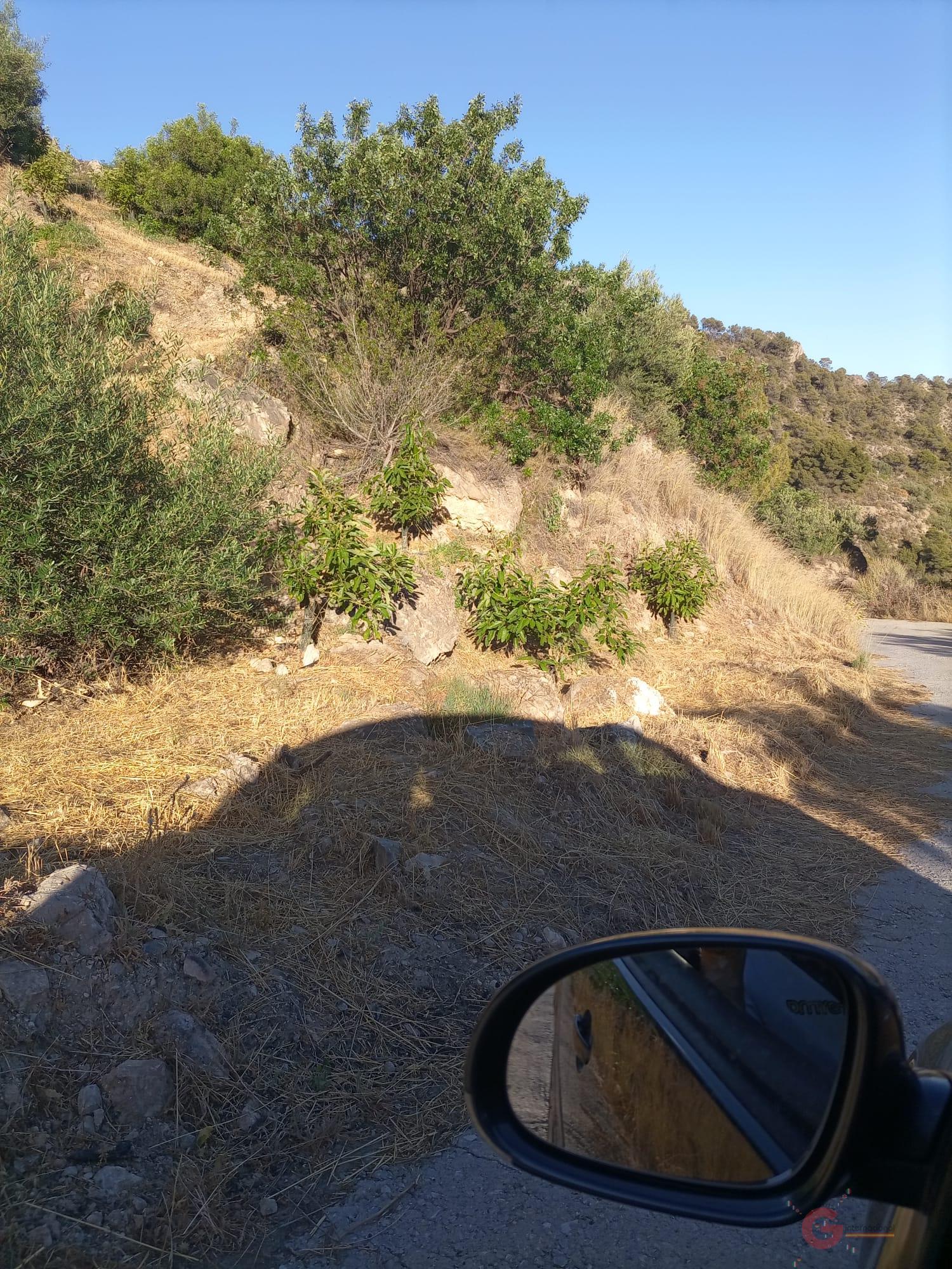 For sale of land in Guájar Alto