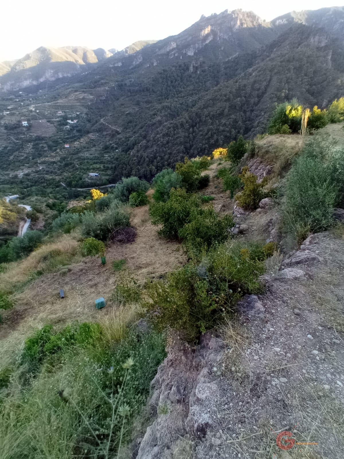 For sale of land in Guájar Alto