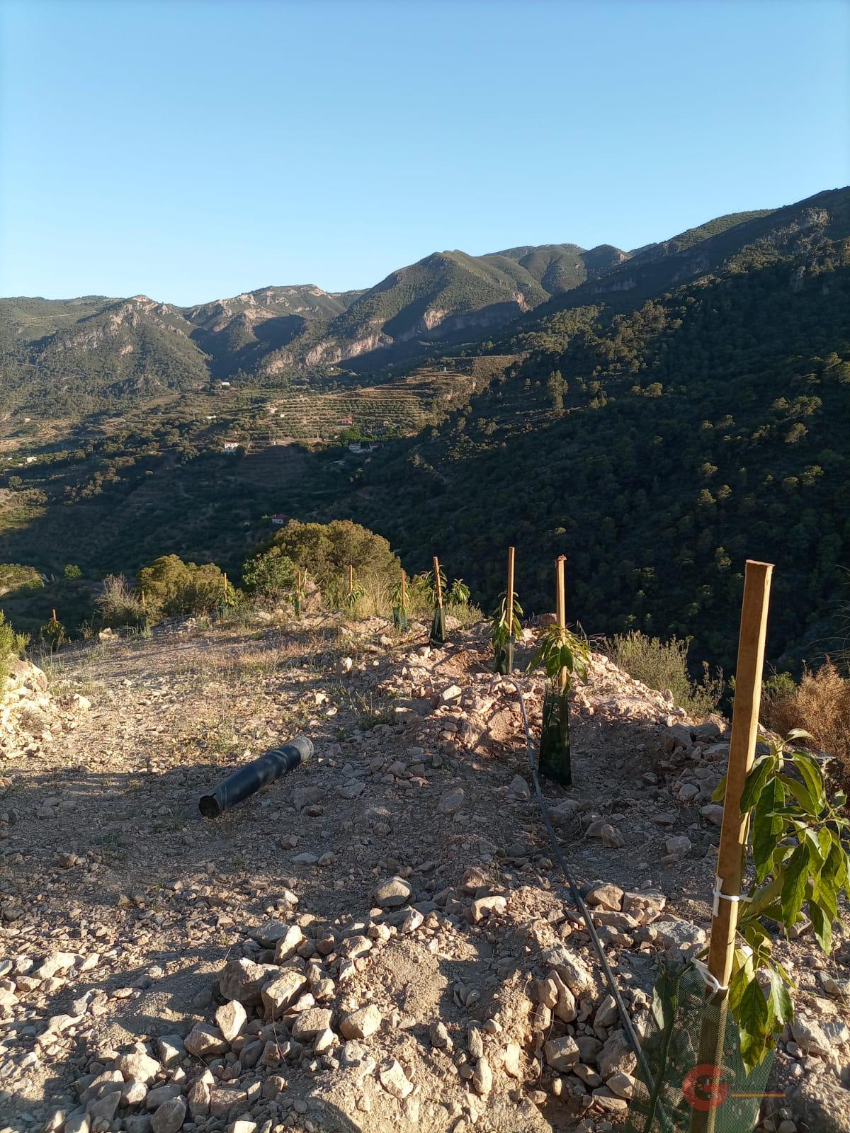 For sale of land in Guájar Alto