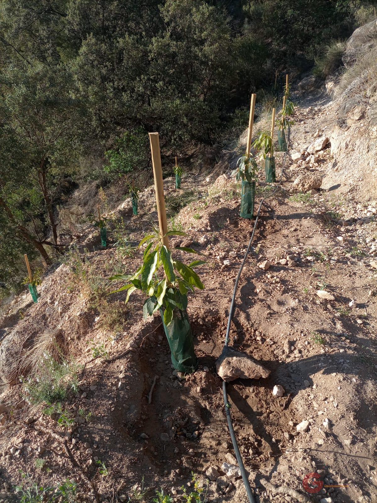 For sale of land in Guájar Alto