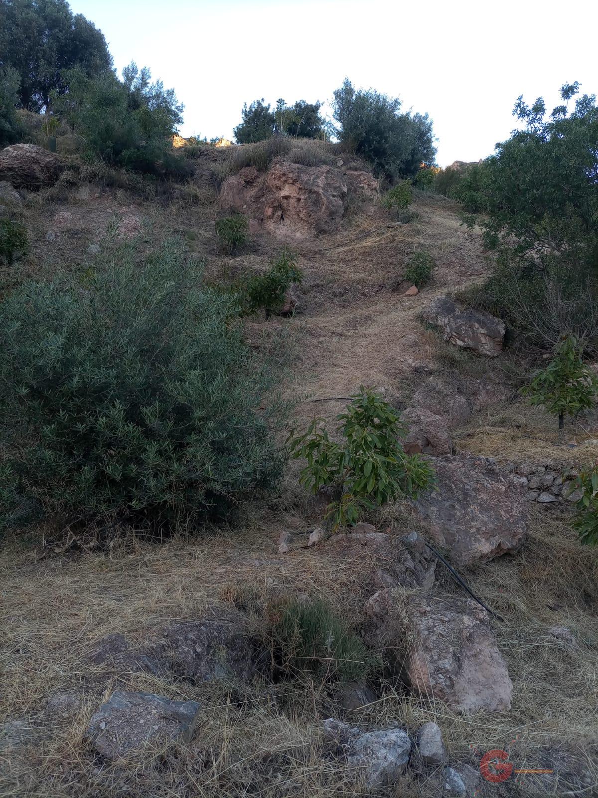 For sale of land in Guájar Alto