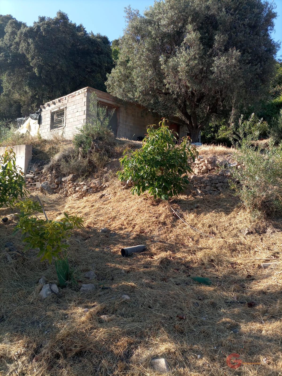 For sale of land in Guájar Alto